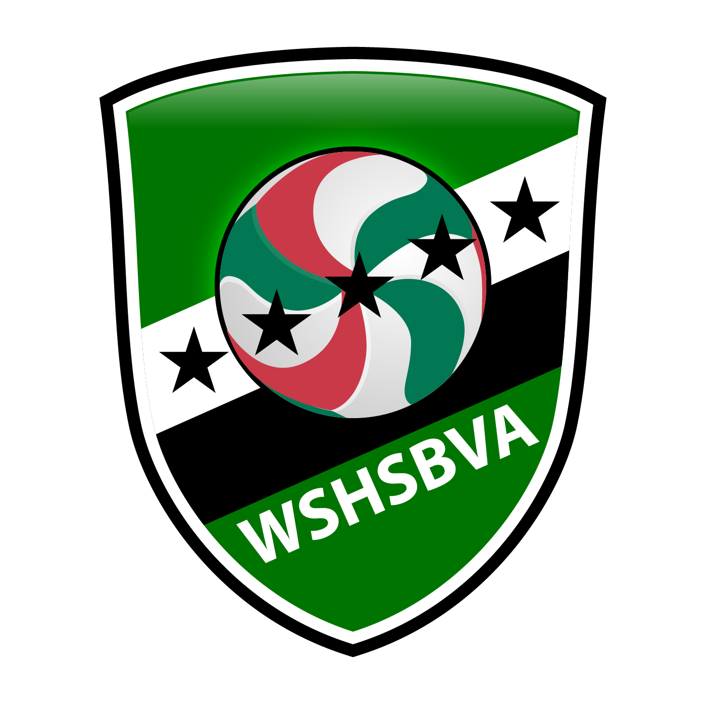 Washington State High Schools Boys Volleyball Association